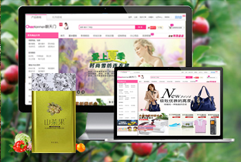 ���۳������̳�