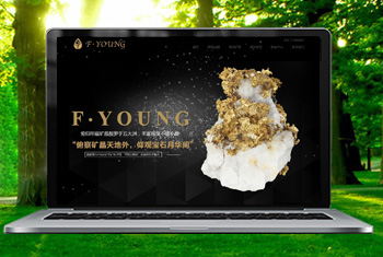 ���۸������ﱦʯ